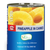 Canned Pineapple slices 30 Oz