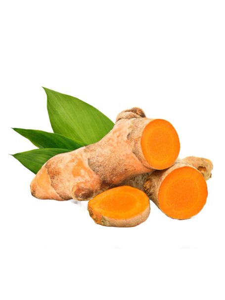 Nghệ tươi
